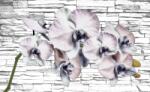 Consalnet Orchidea poszter, fotótapéta (104 x 70, 5 cm) (C1-1605VEM)