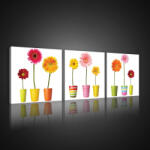 Consalnet Vászonkép 3 darabos, Virágok, 3 db 25x25 cm méret (C5-10552S13)