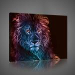 Consalnet Vászonkép, Oroszlán, 100x75 cm méretben (C5-2706O1)