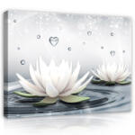 Consalnet Vászonkép, Tavirózsák, 120x80 cm méretben (C5-2523O20)