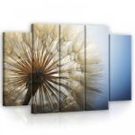 Consalnet Vászonkép, 5 darabos Pitypang 150x100 cm méretben (C5-11792S12)