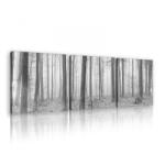 Consalnet Vászonkép 3 darabos, Erdő fekete-fehér, 3 db 25x25 cm méret (C5-11223S13)