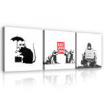 Consalnet Vászonkép 3 darabos, Banksy vállogatás, 3 db 25x25 cm méret (C5-13643S13)