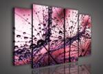 Consalnet Vászonkép, 5 darabos Vízcseppes pitypang 150x100 cm méretben (C5-425S12)