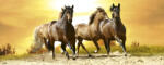 Dimex HORSES IN SUNSET fotótapéta, poszter, vlies alapanyag, 375x150 cm (MP-2-0227)