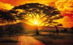 Consalnet African Sunset poszter, fotótapéta (208 x 146 cm) (C1-400VEXL)