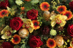 Dimex Vlies Fotótapéta - Floral arrangement - 375x250 cm (MS-5-1393)