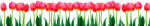 Dimex BED OF TULIPS öntapadós konyhai poszter, 350x60 cm (KI-350-058)