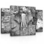 Consalnet Vászonkép, 5 darabos Kő elefánt 150x100 cm méretben (C5-10116S12)