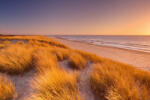 Dimex Vlies Fotótapéta - Tall dunes - 375x250 cm (MS-5-3209)