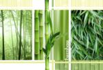 Consalnet Bamboo poszter, fotótapéta (312 x 219 cm) (C1-2-180VEXXL)