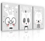 Consalnet Vászonkép 3 darabos, Alvó állatok, 3 db 25x25 cm méret (C5-13493S13)