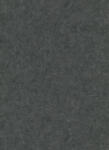 Erismann Sötét szürke szemcsés beton mintás tapéta (Fashion for Walls 10377-15) (10377-15)