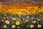 Dimex DAISIES AND BLUE CORNFLOWERS fotótapéta, poszter, vlies alapanyag, 375x250 cm (MS-5-1964)