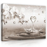 Consalnet Vászonkép, Magnólia vízcsepekkel, 60x40 cm méretben (C5-2530O4)