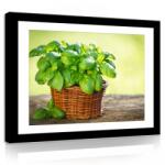 Consalnet Vászonkép, Kosár növény, 100x75 cm méretben (C5-11317O1)