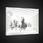 Consalnet Vászonkép, Lovak fehér folyosón, 60x40 cm méretben (C5-2423O4)