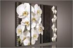 Consalnet Orchidea minta, 3 darabos vászonkép, 90x80 cm méretben (C5-835S6)