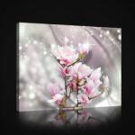 Consalnet Magnólia, vászonkép, 60x40 cm méretben (C5-2675O4)