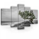 Consalnet Vászonkép, 5 darabos, Fa a sziklán 170x100 cm méretben (C5-11759S4A)