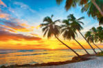 Dimex Vlies Fotótapéta - Sunset over the sea - 375x250 cm (MS-5-1763)
