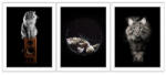 Consalnet Vászonkép 3 darabos, Macska, 3 db 25x25 cm méret (C5-12523S13)