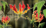 Consalnet Red lilies poszter, fotótapéta (104 x 70, 5 cm) (C1-1390VEM)