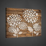 Consalnet Vászonkép, Absztrakt pitypang, 60x40 cm méretben (C5-2442O4)