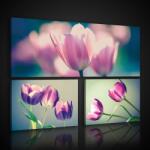 Consalnet Vászonkép 3 darabos, Tulipán 80x55 cm méretben (C5-2577S16)