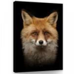 Consalnet Vászonkép, Róka 60x80 cm méretben (C5-11912O6)
