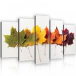 Consalnet Vászonkép 5 darabos, Tölgyfa levelek őszi színekben 100x60 cm méretben (C5-11719S17)