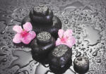 Sverus Fotótapéta Spa Stones with Drops and Pink Sakura Flowers, 312 x 219 cm (SV-13520808-312X219CM)