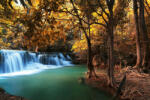 Dimex Vlies Fotótapéta - Autumn Deep Forest - 375x250 cm (MS-5-3241)