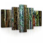 Consalnet Vászonkép, 5 darabos, Erdei fák 170x100 cm méretben (C5-11751S4A)