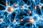 Dimex Vlies Fotótapéta - Nerve cell - 375x250 cm (MS-5-2294)