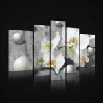 Consalnet Vászonkép, 5 darabos, Orchidea gömbökkel 170x100 cm méretben (C5-2405S4A)