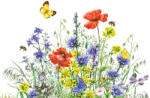Dimex Vlies Fotótapéta - Hand drawn wild flowers - 375x250 cm (MS-5-1978)