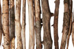 Dimex Vlies Fotótapéta - Wooden sticks - 375x250 cm (MS-5-1875)