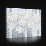 Consalnet Vászonkép, Absztrakt pitypang, 80x60 cm méretben (C5-2636O6)