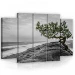 Consalnet Vászonkép, 5 darabos Fa a sziklán 150x100 cm méretben (C5-11759S12)