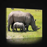 Consalnet Orrszarvúk, vászonkép, 60x40 cm méretben (C5-2607O4)