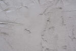 Dimex Vlies Fotótapéta - unfinished plaster - 375x250 cm (MS-5-2432)