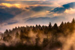 Dimex Vlies Fotótapéta - Foggy landscape - 375x250 cm (MS-5-1869)