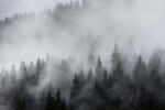 Dimex Vlies Fotótapéta - Foggy - 375x250 cm (MS-5-1894)