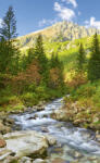 Dimex VALLEY fotótapéta, poszter, vlies alapanyag, 150x250 cm (MS-2-0077)