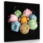 Consalnet Színes lampionvirág, vászonkép 40x40 cm méretben (C5-11781O5)