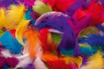 Dimex Vlies Fotótapéta - Colorful feather background - 375x250 cm (MS-5-2548)