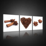 Consalnet Vászonkép 3 darabos, Fahéj, kávé és ánizs, 3 db 25x25 cm méret (C5-10524S13)