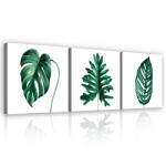 Consalnet Vászonkép 3 darabos, Trópusi levelek, 3 db 25x25 cm méret (C5-13639S13)