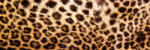 Dimex LEOPARD SKIN öntapadós konyhai poszter, 180x60 cm (KI-180-069)